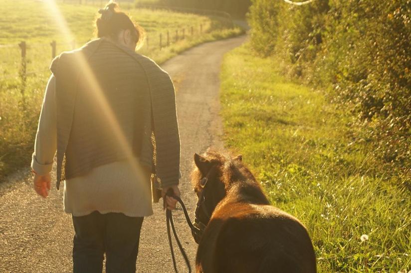 Gite De La Jument Grise Lescheroux エクステリア 写真